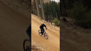 Jumps im Bikepark Green Hill #shorts