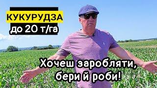 В Україні немає поганої землі! Органічна продукція ВАМ Агро, гібриди кукурудзи, зерносушарка