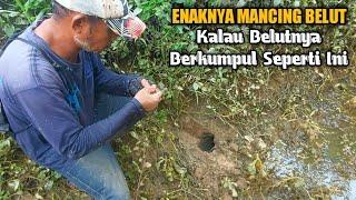 SAKING JARANG TERJAMAH PEMANCING BELUT‼️ SUNGAI MATI JADI SARANGNYA BELUT BABON