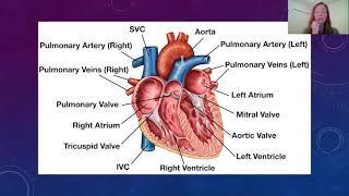 Phlebotomy - Chapter 6