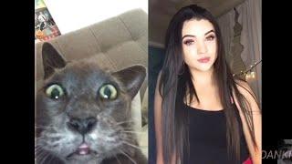 Funny Tik Tok Ironic Memes Compilation V7 Best Tik Tok Trolls