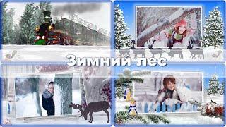 В зимнем лесу  |  проект  ProShow Producer |  In the winter forest