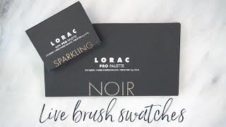 LORAC PRO Palette Noir | Live Finger/Brush Swatches & Review