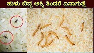 Most interesting and amazing facts Kannada