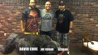 Joe Rogan Experience #392 - David Choe