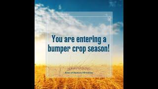 You are entering a bumper crop season! #propheticword #harvest #restoration #joy