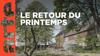 Une journée de printemps | La vie sauvage du jardin | ARTE Family