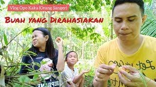 Mencari Buah yang Dirahasiakan || Vlog Opo Kaka ( Orang Sanger / Sangihe )