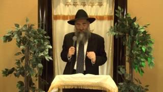 Rabbi Minkowicz Weekly Torah Lesson Parshat Pinchas 7/06/14