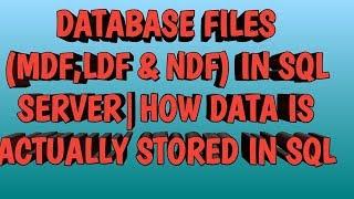 DATABASE FILES--MDF,LDF AND NDF IN SQL SERVER | How data is actually stored in sql server
