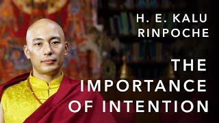 The importance of intention | H. E. Kalu Rinpoche | The Illusory Body and Mind | The Wisdom Academy