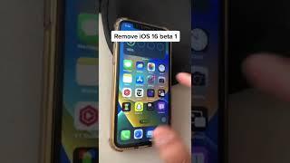 REMOVE iOS 16 Beta 1 #shorts