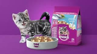 New Whiskas® Junior