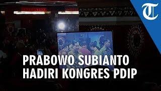 Prabowo Disambut Meriah Kader PDIP di Kongres V di Bali