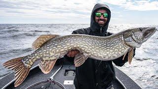 FISHING FOR BIG PIKE IN SWEDEN I Predatortour 2022