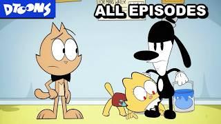 Conroy Cat Compilation - ALL EPISODES