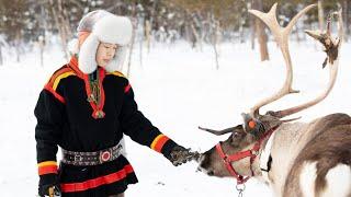 AUTHENTIC SAMI CULTURE EXPERIENCE WITH REINDEER IN NORTHERN SWEDEN!