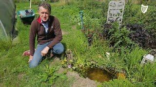 Dublin couple leave jobs to create wild nature reserve in Wicklow