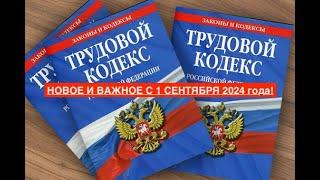 НОВОЕ И ВАЖНОЕ С 1 СЕНТЯБРЯ 2024 года!