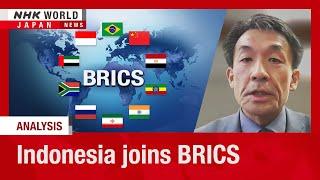 Indonesia joins BRICS as group aims to expand influenceーNHK WORLD-JAPAN NEWS