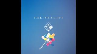 The Spacies - Cool Like You