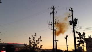 Birds make a power transformer "explode" in Houston (the fuse really)