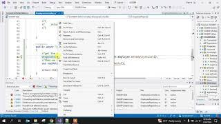 Rdlc report in Visual Studio 2022 .net 8 MVC | part 2