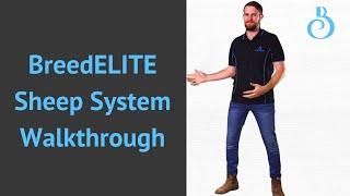 Sheep Management In Australia: BreedELITE Sheep System Walkthrough