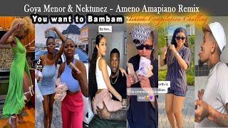 Goya Menor & Nektunez – Ameno Amapiano Remix - Tiktok Compilation Challenge | You want to Bambam