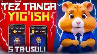 Hamster Kombat Tez Tanga yigish 5 ta usuli