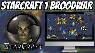 StarCraft 1 + BroodWar | For PC/Laptop | HOW TO INSTALL | 2023