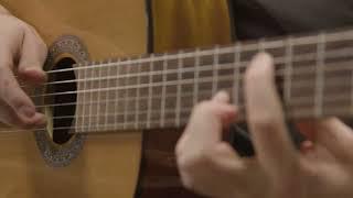 Panning Shot of Musicians Hands Playing Acoustic Guitar Free Stock Video Footage Download Clips