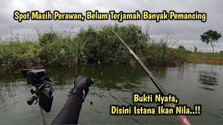 INI BUKTINYA‼️TIDAK ADA KATA BONCOS KALO NEMU SPOT KAYAK GINI‼️MANCING IKAN NILA - MANCING MANIA