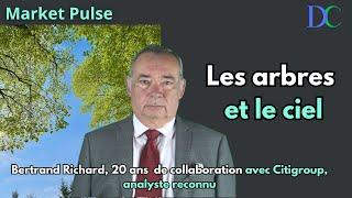 Les arbres et le ciel | Market Pulse