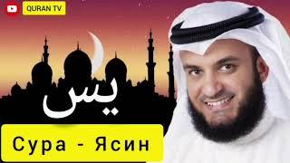 Сура  Ясин  Мишари Рашид#سورة ياسين مشاري راشد#Sura Yasin Mishary Rashid