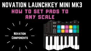 Novation Launchkey Mini Mk3 - How to Set Pads to Any Scale (Novation Components)