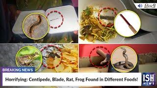 Horrifying: Centipede, Blade, Rat, Frog Found in Different Foods! | ISH News