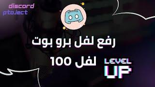 How to increase the level of your Probot account using Auto Kalimat | I reached level 100 in a week