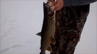 Steph's Fishin' Line -Gone Fishing - Hardwater Tactics 1.