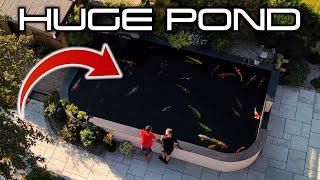 STUNNING 11,500 GALLON POND WITH AMAZING KOI COLLECTION 