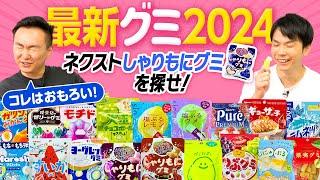 【最新グミ】かまいたちが2024年の人気グミを食べてみた！〜ネクストしゃりもにグミを探せ！〜