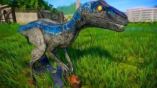 Blue vs Indoraptor Breakout & Fight - Jurassic World Evolution Dinosaurs Fighting