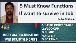 Excel for People in Job 5 Must Know Functions   Part 1