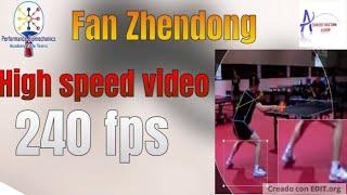 Fan zhendong forehand higt speed during training