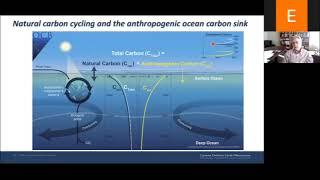 Dr. Galen McKinley - Models, data and theory to understand the ocean carbon sink