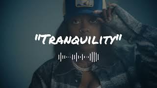 AMARIA BB Type Beat - "Tranquility" | Dancehall x Afro R&B Instrumental 2023