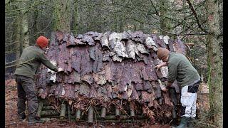 Building a Primitive Shelter in The Woods - Tree Bark Roof.