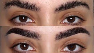 how I catfish my brows (full brow routine)