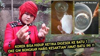 KOREK GERAK SENDIRI ⁉️ OKE KITA BONGKAR KEBOHONGAN BATU MANI GAJAH DUA ALAM - ILMU MERAH