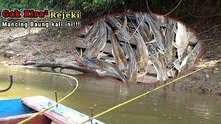 Rekor Mancing Baung 2023!!! Dimana Umpan Di jatuhkan langsung di gasak